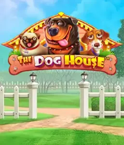 От Pragmatic Play представлен The Dog House, предлагающий прекрасное приключение с любимых собак. Откройте для себя функциях таких как множители, идеальных для предоставления развлекательного геймплея. Обязательно для тех, кто любит забавную тематику наряду с щедрыми наградами.